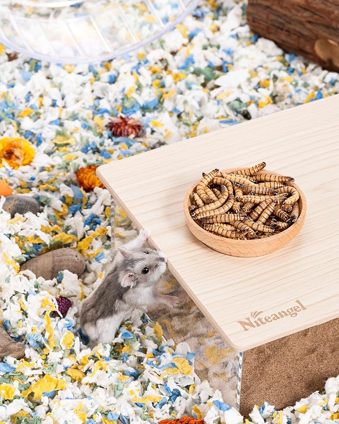 Niteangel Small Animal Snack & Treats - Small Critter Natural Treat for Dwarf Syrian Hamsters Gerbils Mice Sugar Glider Hedgehogs Chickens Birds (Freeze-Dried Worms- 1.4oz (40g))