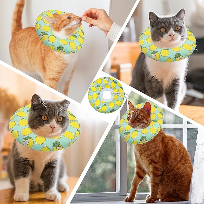 Cat Cone Collar Soft, Adjustable Cat Recovery Collars Kitten Cones to Stop Licking, Cute Donut E Collar After Surgery, Soft Cone Elizabethan Collar for Kittens (Green Lemon, Medium)