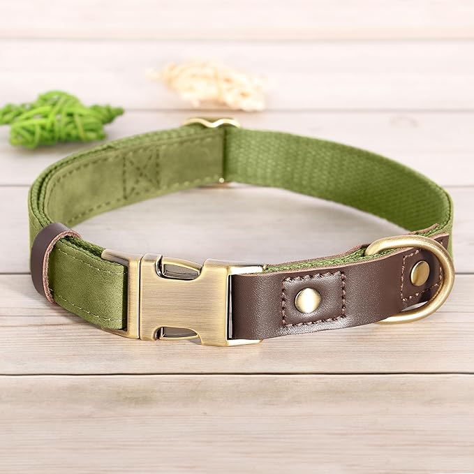 Didog Soft PU Leather Dog Collars for Medium Dogs,Classic Adjustable Dog Collars with Quick Release Metal Buckle,Easy Clean and Comfortable with Nylon Lining,Olive Green,M Neck 13-19"