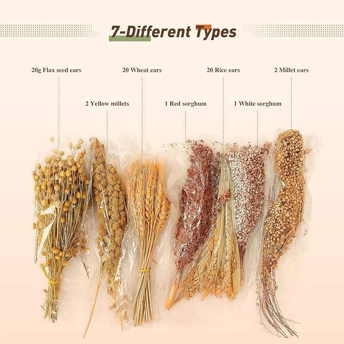 ZIPPYPET Hamster Sprays and Forage Accessories for Cages, Pet Mouse Decor Textures (7)