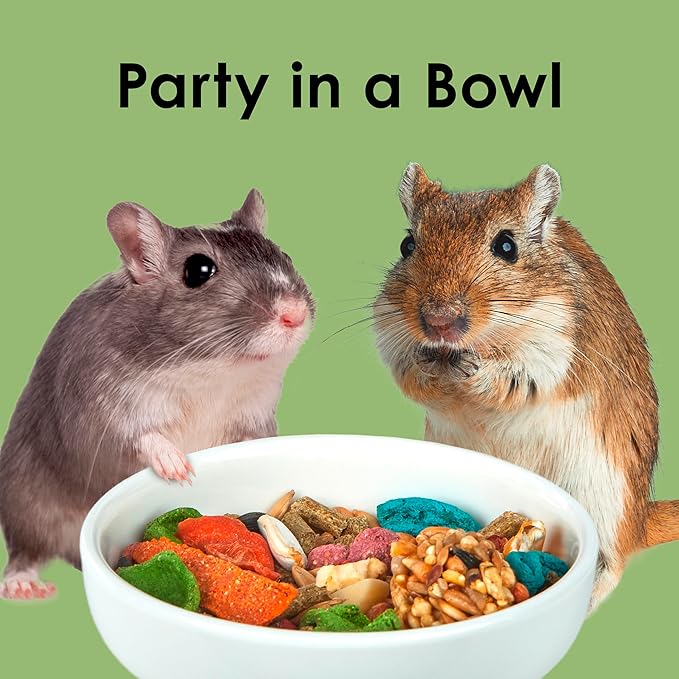 Kaytee Fiesta Hamster Gerbil, 2.5-Pound