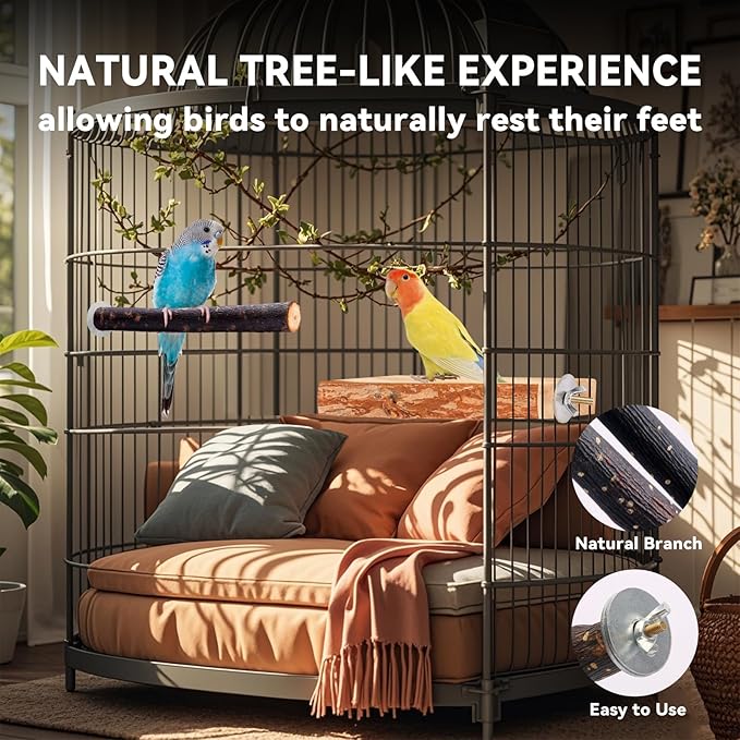 Bird Toys Parakeet Perch Budgie Perch Wood Stand Fork Toys Multi-Branch Perch Platform Toy for Small Conures,Cockatiel,Parrotlet,Lovebird,Parrot,Finches