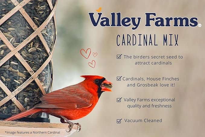 Valley Farms Cardinal Mix (10 LB) Wild Bird Food for Outside Feeders, Cardinal Bird Seed with Black Oil Sunflower Seeds and Safflower Seeds, Attract a Variety of Wild Birds