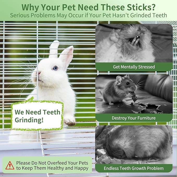 Natural Apple Wood Chew Sticks 300g (10.5oz) for Rabbits, Hamsters, Chinchillas, Guinea Pigs - Small Animal Dental Toys, Safe Untreated Teeth Grinding & Boredom Relief, Rodent Molar Health (300g)