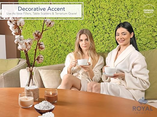 Royal Imports 30LBS River Rocks Decorative Ornamental Pebbles, Garden Landscaping Stones, Gravel Filler for Plants, Vases, Succulents, Home Decor, Aquariums, Crafting, Animal Habitat - Small White