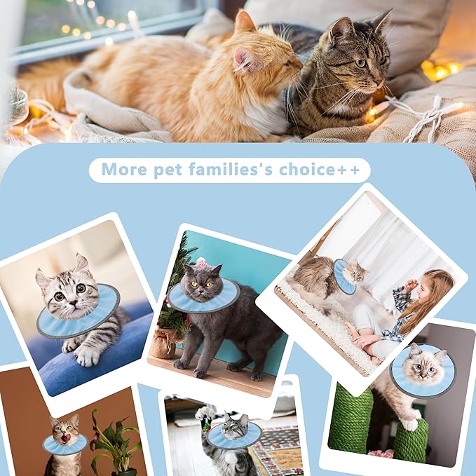 Lightweight Cat Cone Collar Soft, Soft Comfortable Cat Recovery Collar After Surgery, Elizabethan E Collar for Cats, Cone for Cats to Stop Licking (Baby Blue, Large)