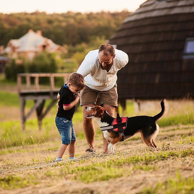 Dogline Dog Harness, Reflective No-Pull Adjustable Vest with Handle, Breathable No-Choke Harness for Small, Medium or Large Dogs Room for Patches Girth 27 to 34 in Red