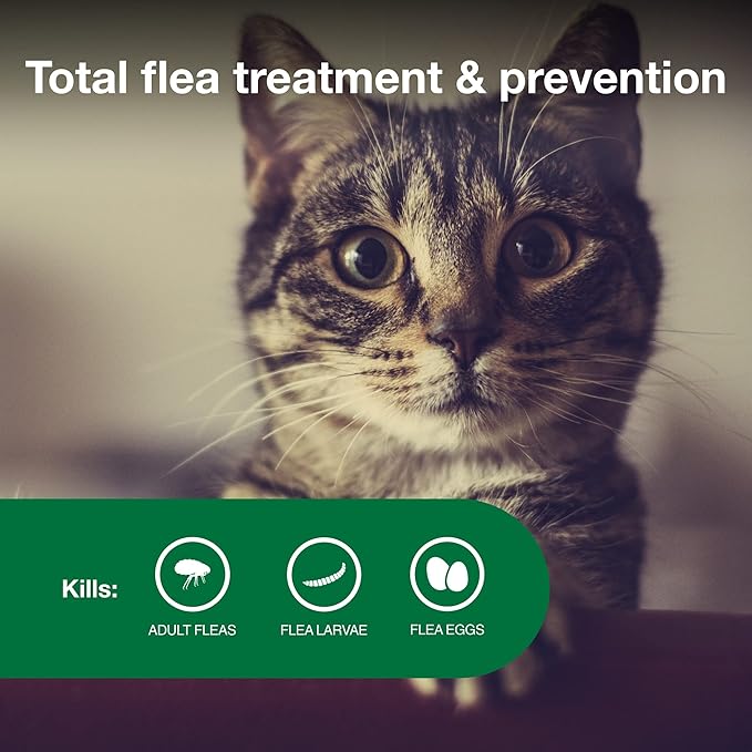 Advantage II Small Cat Vet-Recommended Flea Treatment & Prevention | Cats 5-9 lbs. | 3-Month Supply
