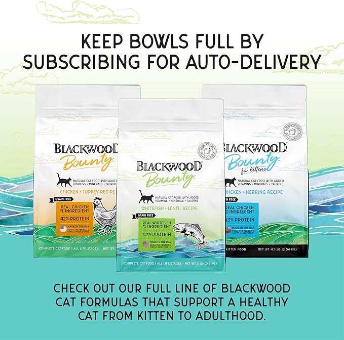 Blackwood Bounty Dry Cat Food, Whitefish & Lentil Recipe for All Life Stages, 2 Pound Bag, High Protein, Grain Free (Pack of 4)