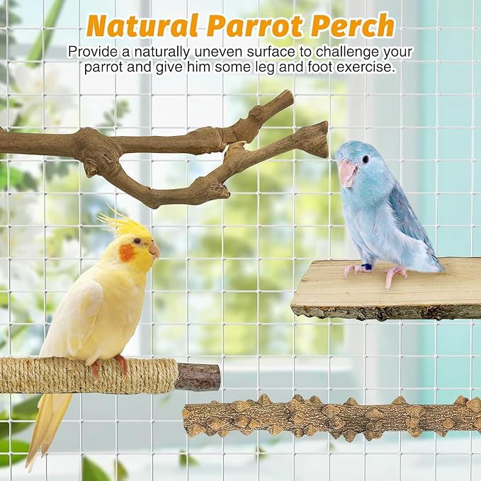 kathson 5pcs Natural Parrot Perch for Cage Wooden Bird Perches Grape Bird Stick Parakeet Climbing Standing Branches Toy Chewable Cage Accessories for Small Budgies Cockatiels