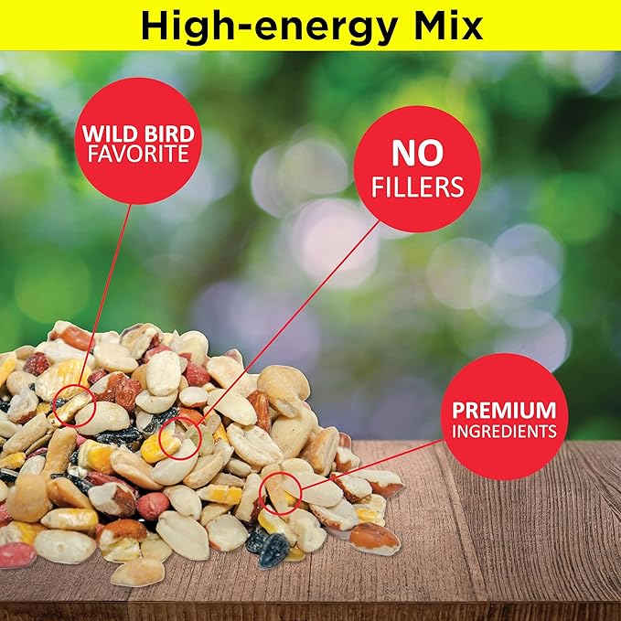 Lyric Fruit and Nut Wild Bird Seed - High Energy Wild Bird Food Mix - Attracts Woodpeckers, Chickadees & Other Songbirds - 10 lb. (pack of 2 - 5 lb bags)