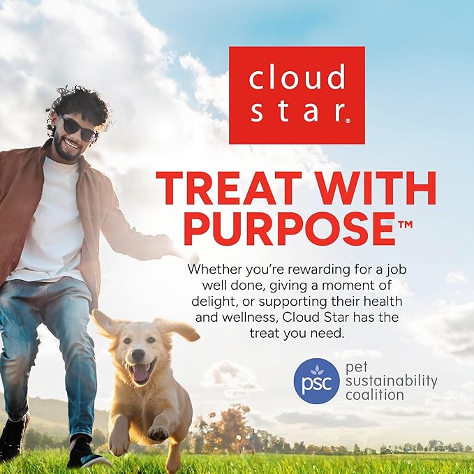 DOGSWELL Jerky Treats for Dogs, Skin and Coat Salmon Recipe 18 oz., 29235