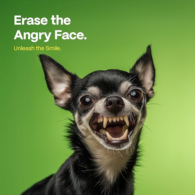 DOCO Dog Teeth Cleaning Wipes Dental Finger Wipes for Cats & Dogs Remove Plaque & Tartar, Freshen Breath, No Rinse, Easy Pet Tooth Cleaning Kit for Oral Care, Coconut & Grapefruit Flavor, 100 Count