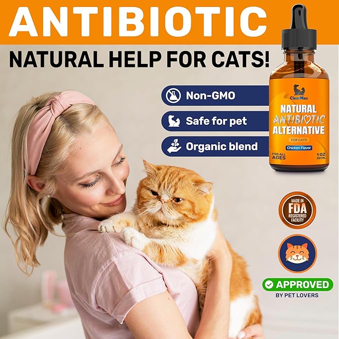 Cat Antibiotic to Help with Cough & Allergies β Antibiotics for Cats to Aid with UTIs and Digestive Moments β HIPS & Joints Support β Attractive Chicken Taste β 1 Oz Bottle