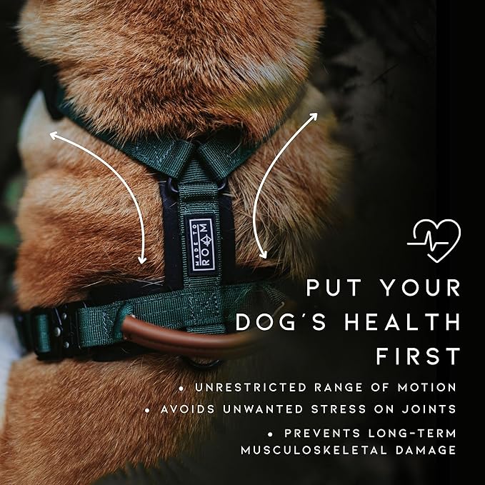 MADE TO ROAM Premium Explorer Harness - Y-Shaped Dog Harness with Adjustable Durable Nylon, Soft Padding, Metal Buckles and Leather Handle for Small, Medium, Large Dogs (Oregon Haze, Size 6)