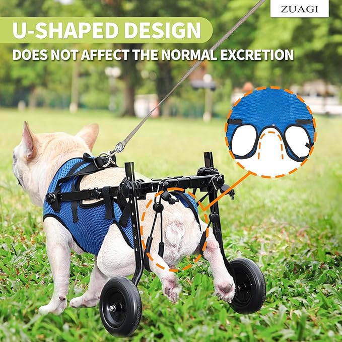 Pet Wheelchair for Leg Support Helps Senior, Wheelchair for Back Legs,Adjustable Pet Cart,Assist a paralyzed pet get Back on its feet,Support Leg Brace and Hip(Small)