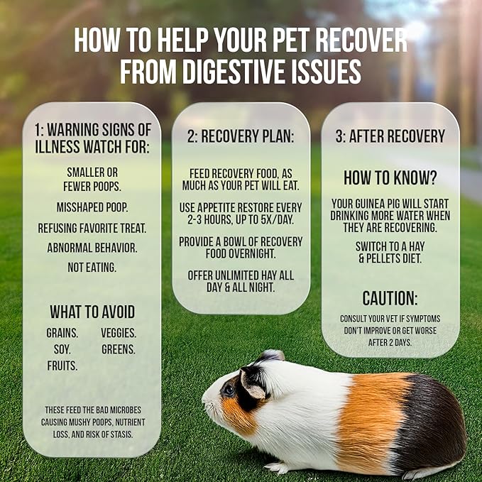 Sherwood Pet Health Guinea Pig Emergency Kit (Small) with Timothy Recovery Food and Appetite Restore in Stay-Fresh Packets