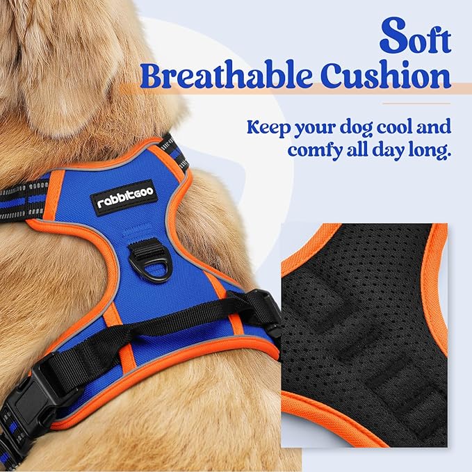 rabbitgoo Dog Harness No Pull with 2 Leash Clips, Adjustable Soft Padded, Reflective Oxford No Choke Pet Vest with Easy Control Handle for Large Dogs, Blue & Orange, XL
