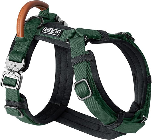 MADE TO ROAM Premium Explorer Harness - Y-Shaped Dog Harness with Adjustable Durable Nylon, Soft Padding, Metal Buckles and Leather Handle for Small, Medium, Large Dogs (Maine Marina, Size 6)