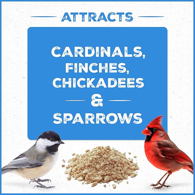 Pennington Select Chips & Bits Wild Bird Seed for Outside Feeders, High-Protein, No-Hull & No-Waste, Sunflower Chips & Peanut Bits Attract Songbirds,15-lb. Bag