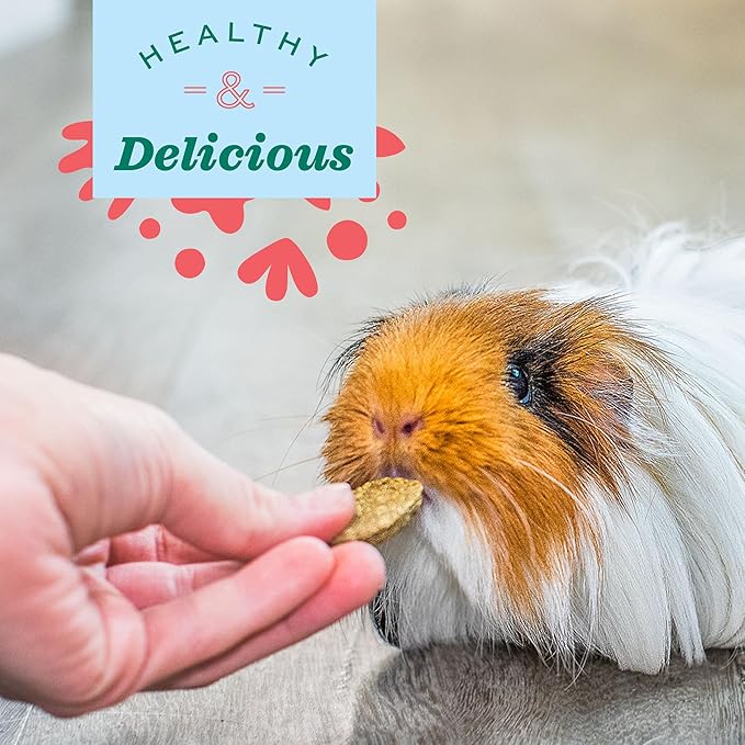 Oxbow Animal Health Natural Science Digestive Support, High Fiber Supplement for Rabbit & Guinea Pig, Made with Timothy Hay, Includes Chicory Root, Ginger Root, Chamomile, Made in USA, 4.2 oz Bag