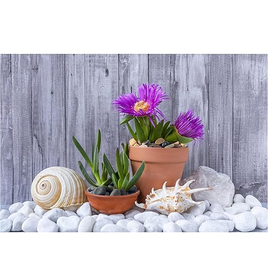 White River Rocks 40lbs, 2-3 Inch Natural Unpolished Bulk Pebbles, Hand-Picked Premium Stones for Landscaping and Garden Design Fish Tank, Flower Pots, Pathways and Backyard