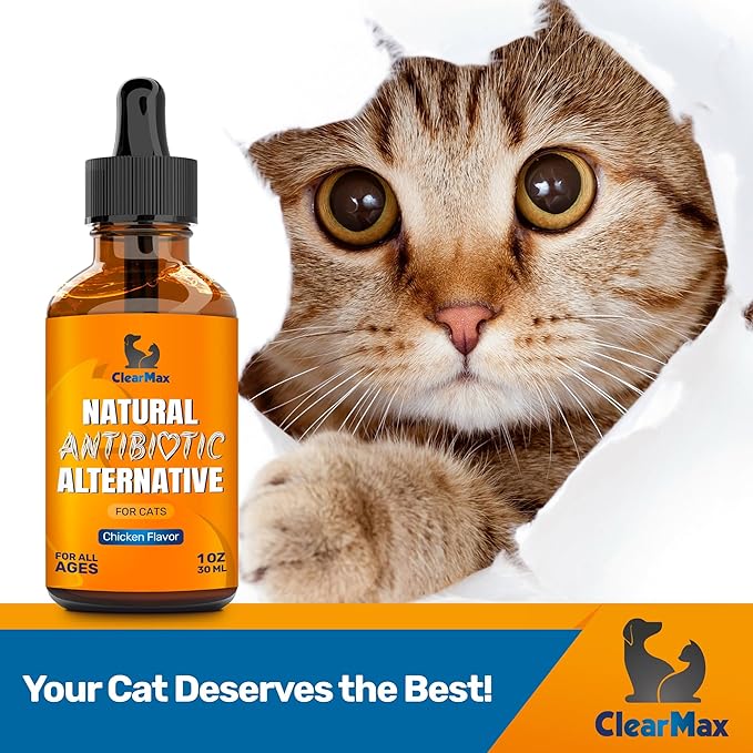 Cat Antibiotic to Help with Cough & Allergies β Antibiotics for Cats to Aid with UTIs and Digestive Moments β HIPS & Joints Support β Attractive Chicken Taste β 1 Oz Bottle