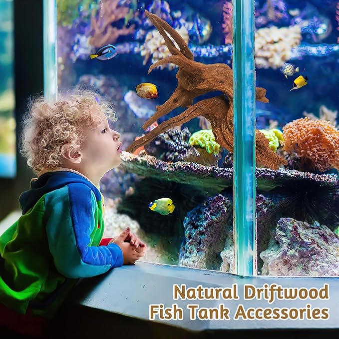 kathson Natural Aquarium Driftwood Decoration Branches Reptiles Terrarium Ornament Wood Fish Tank Habitat Decor Assorted Sizes Wood 4 PCS (6"-10")