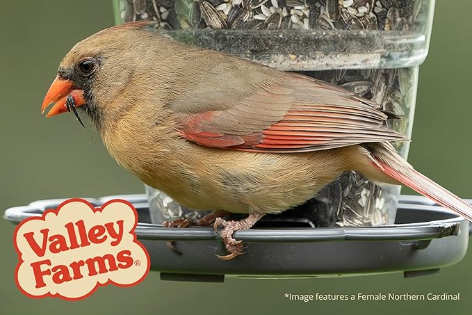 Valley Farms Cardinal Mix (10 LB) Wild Bird Food for Outside Feeders, Cardinal Bird Seed with Black Oil Sunflower Seeds and Safflower Seeds, Attract a Variety of Wild Birds