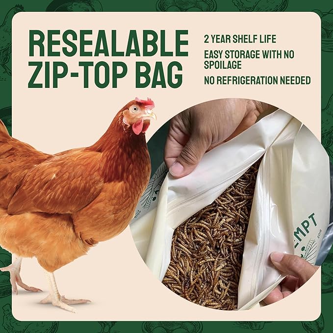 Chicken Feed Dried Mealworms - 5 Lb, Non-GMO & Organic - High-Protein Mealworms for Wild Birds & Ducks, Chicken Treats & Bird Food