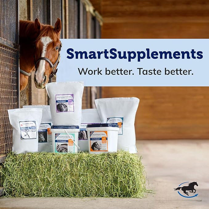 SmartEquine SmartCookies | Healthy Treats for Horses Made from Coconut Meal, Beet Pulp, Alfalfa, and Flaxseed Oil | No Sugar Added Horse Treats | Peppermint Pattie Flavor Cookies for Horses, 3 lb Bag