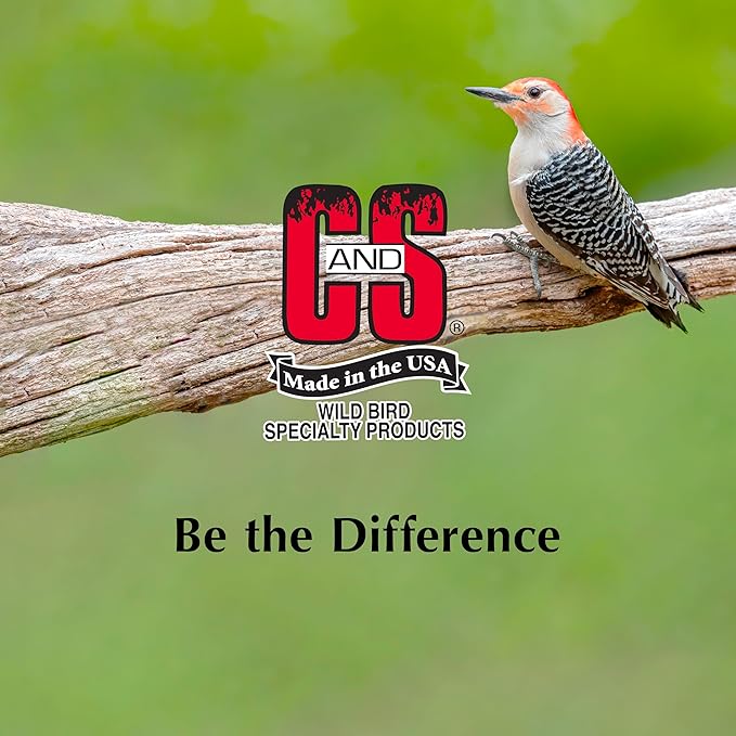 C&S Wild Bird Peanut Suet Nuggets Mega Box, 8 Pounds