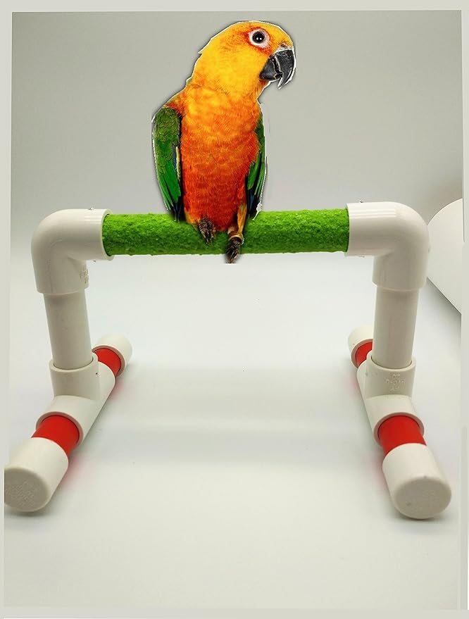 Hypeety Small Bird Parrot Stand Perch Table Top Stand Playground Grind Perch Swing Training Playstand Exercise Chew Toys for Budgies Parakeet Cockatiel Conure Finch (Perch, L)