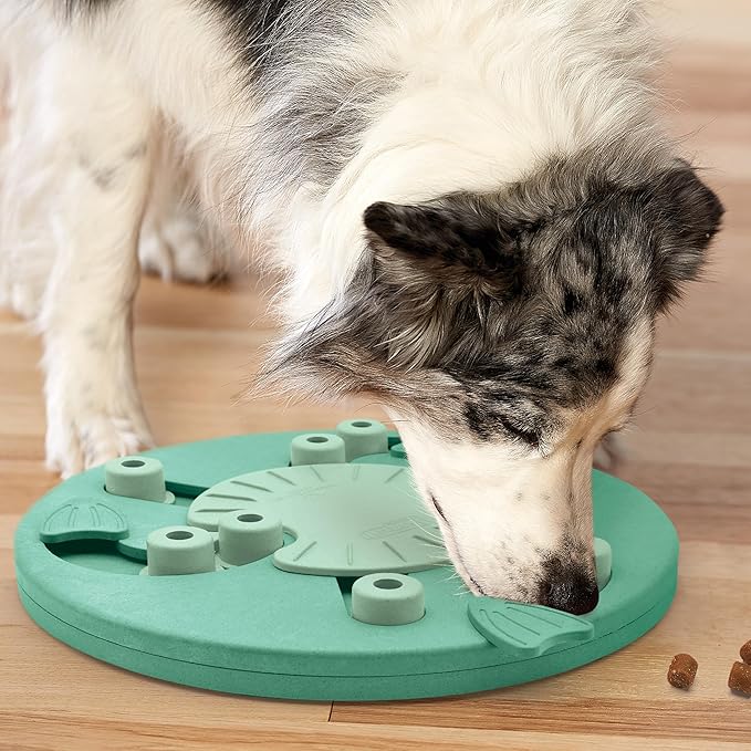 Outward Hound by Nina Ottosson Dog Worker Treat Puzzle Enrichment Toy, Level 3 Advanced, Green