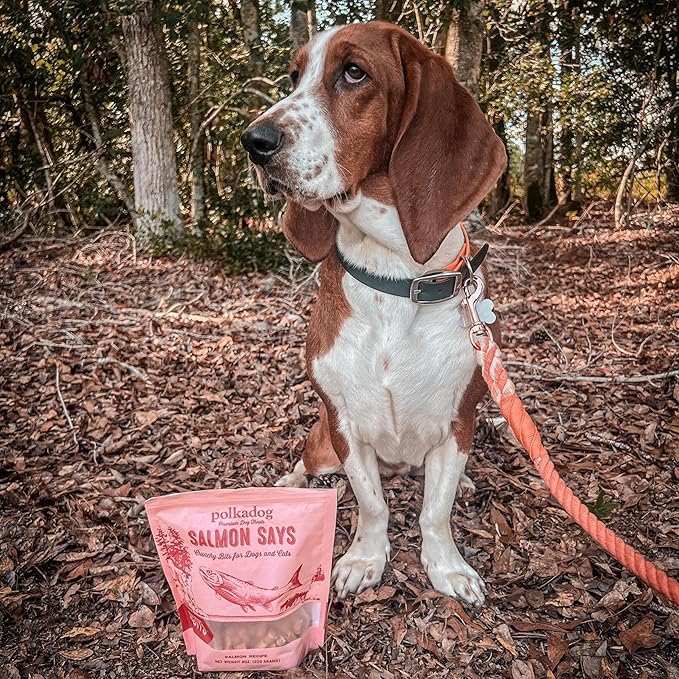 Polkadog Salmon Says Training Bits - Omega-3 Rich, Low Fat Healthy Dog Treat - Digestible, Vitamin & Mineral Packed Dog Snacks - Crunchy 3-Ingredient Treat, Ideal for Dogs with Allergies - 7oz