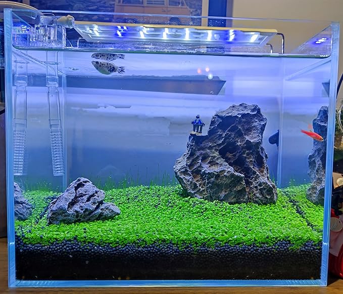 4 Pack Aquarium Plant S.e.e.ds, no Artificial Plastic Plant, Fish Tank Live Grass for All Substrate (0.36ozTiny+0.36oz Long+0.36oz Short+0.36oz Big Dual) ZQV-005