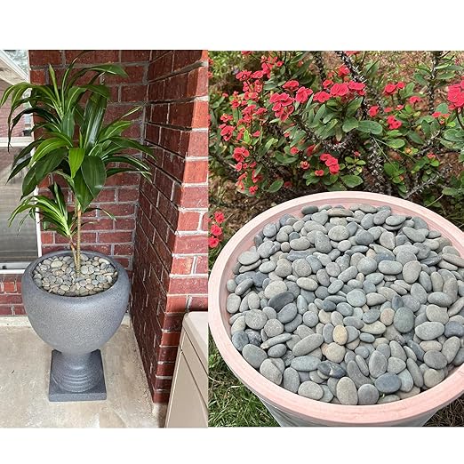 7LB River Rocks Mexican Beach Pebbles for Garden Landscape Plants Paving Grey (1Inch)