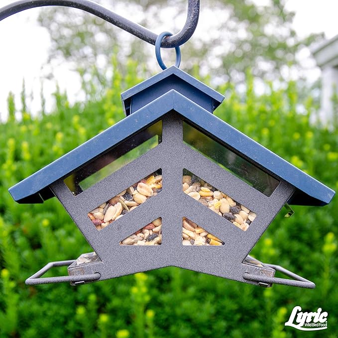 Lyric Fruit and Nut Wild Bird Seed - High Energy Wild Bird Food Mix - Attracts Woodpeckers, Chickadees & Other Songbirds - 10 lb. (pack of 2 - 5 lb bags)