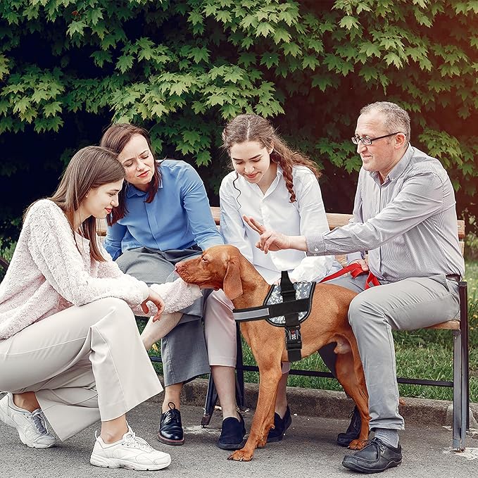 Dogline Dog Harness, Reflective No-Pull Adjustable Vest with Handle for Walking, Training, Breathable, No - Choke Harness for Small, Medium or Large Dogs Room for Patches Girth 27 to 34 in Urban Camo