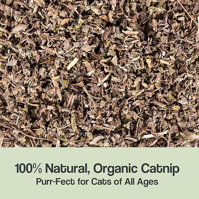 Organic Catnip for Cats & Kittens – 1.76 oz Premium Natural Catnip, High Potency Blend for Playtime, Training, and Stress Relief, 2 Cups of Dried Cat Nip Leaves