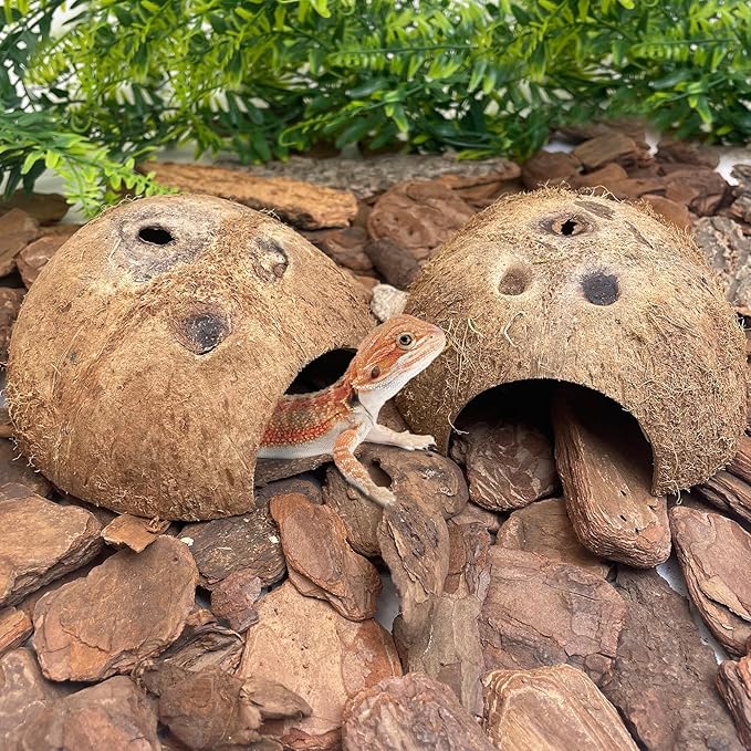 PINVNBY Natural Coconut Reptile Hideouts Lizard, Coco Hut Hermit Crab Hut Aquarium Fish Hide Cave for Small Reptile Crested Gecko Leopard Gecko Spider Snail Climber Toys (2 PCS Natural Surface)