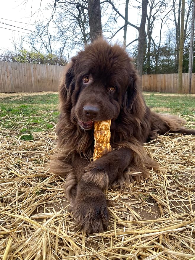 Redbarn Pet Products All-Natural Large Beef Cheek Rolls for Dogs, Chicken & Carrot Glazed - Single Ingredient Grain-Free Chew Treat Naturally Rich in Collagen - Packaging May Vary, Pack of 4