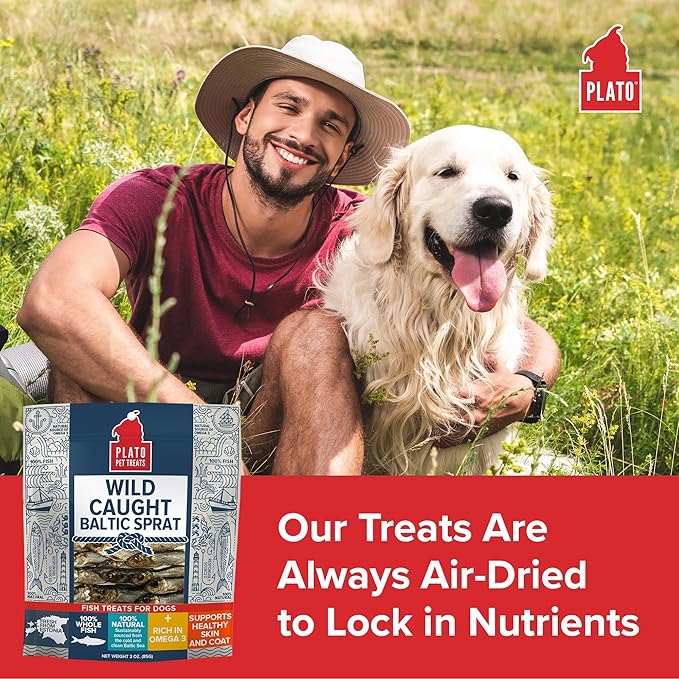 Plato Baltic Sprat 3oz