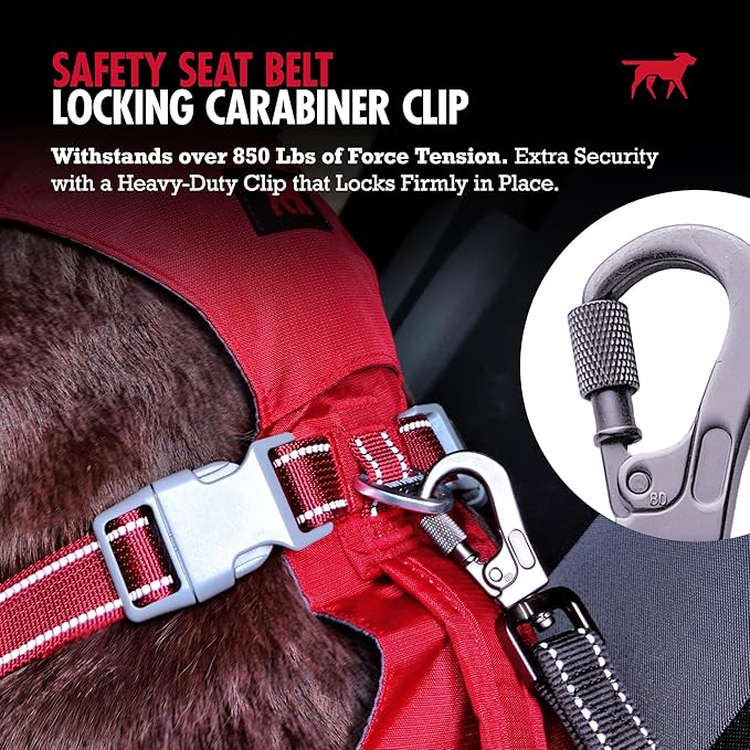 Tuff Pupper Dog Seat Belt | Adjustable Length Dog Seatbelt Restraint | Tangle-Free Locking Carabiner | Shock-Absorbing Bungee | Reflective Stitching for Visibility | Universal Fit for Cars & Trucks