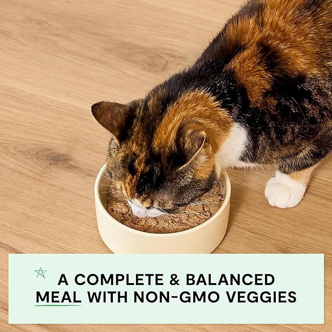 Open Farm Canned Kitten Food, Paté for Complete & Balanced Nutrition, Grain-Free and Legume-Free Wet Kitten Food, Chicken & Salmon Recipe, 5.3oz Cans (Case of 12)