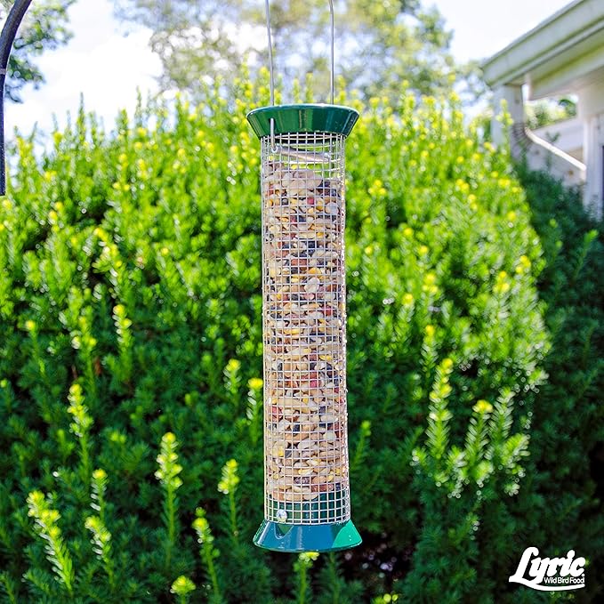 Lyric Fruit and Nut Wild Bird Seed - High Energy Wild Bird Food Mix - Attracts Woodpeckers, Chickadees & Other Songbirds - 20 lb bag