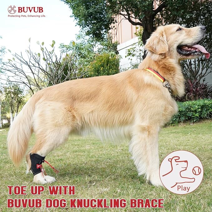 Dog Canine Knuckling Brace Rear Leg Dog Foot Brace Wrap for Toe Dragging Cause by Sciatic Nerve Insufficiency, Myelopathy, Herniated Disc (XLarge)