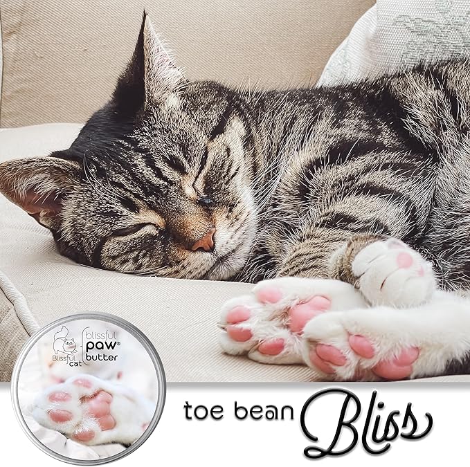 The Blissful Cat Paw Butter, Moisturizer for Dry Paw Pads, Softens and Protects a Rough Paw, Versatile, Lick-Safe Cat Paw Balm, 1 oz.