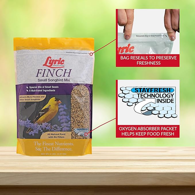 Lyric Finch - Small Songbird Wild Bird Seed - Attracts Goldfinches, House Finches, Purple Finches & More - 5 lb. Bag
