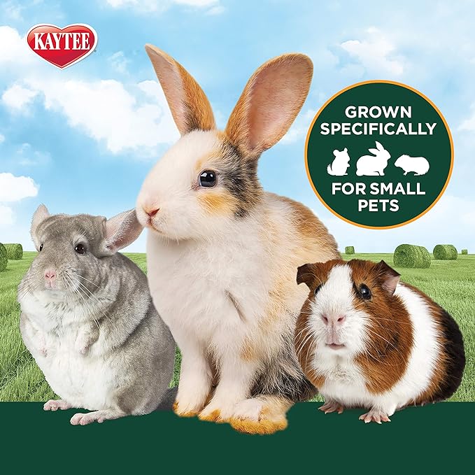Kaytee All Natural Timothy Hay Plus Marigolds for Guinea Pigs, Rabbits & Other Small Animals, 24 Ounce (Pack of 2)